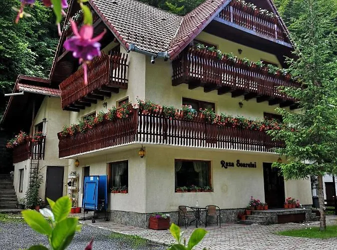 Raza Soarelui Hotel Moeciu De Sus